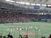 野球 (5).jpg